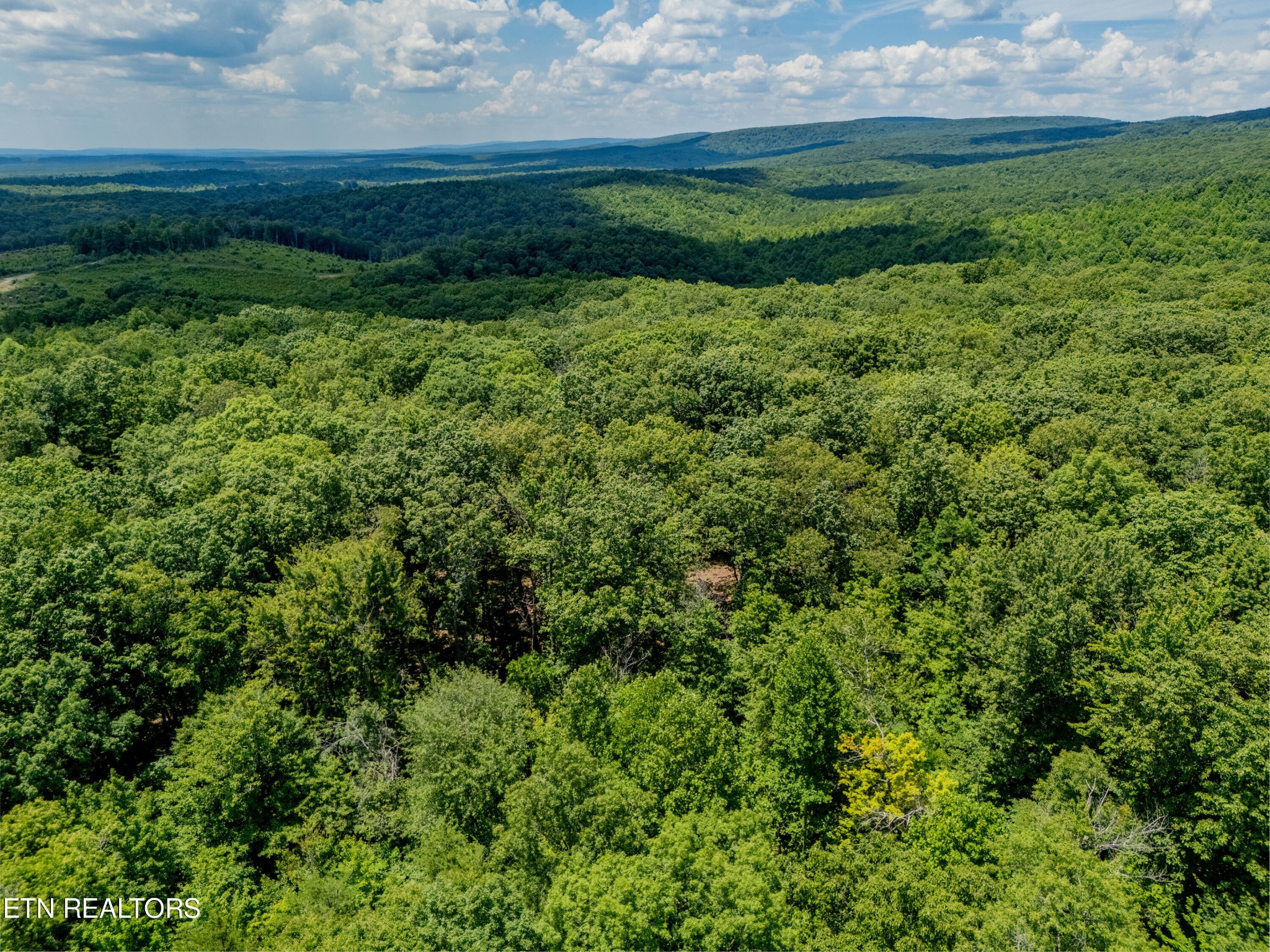 467 Catoosa Ridge Road Rockwood, TN 37854 - Photo 18 of 24 Gallery Image 18