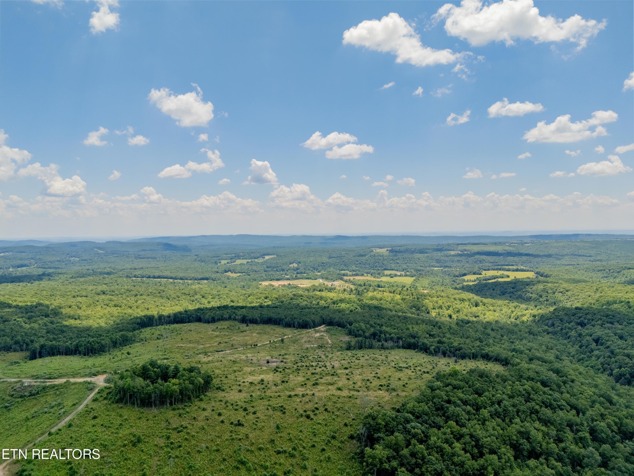 467 Catoosa Ridge Road Rockwood, TN 37854 - Photo 7 of 24 Gallery Image 7