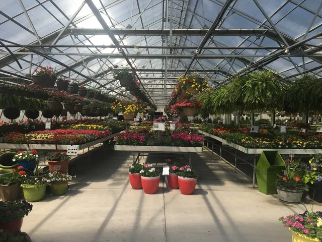 a outdoor space with lots of fruit and vegetables
