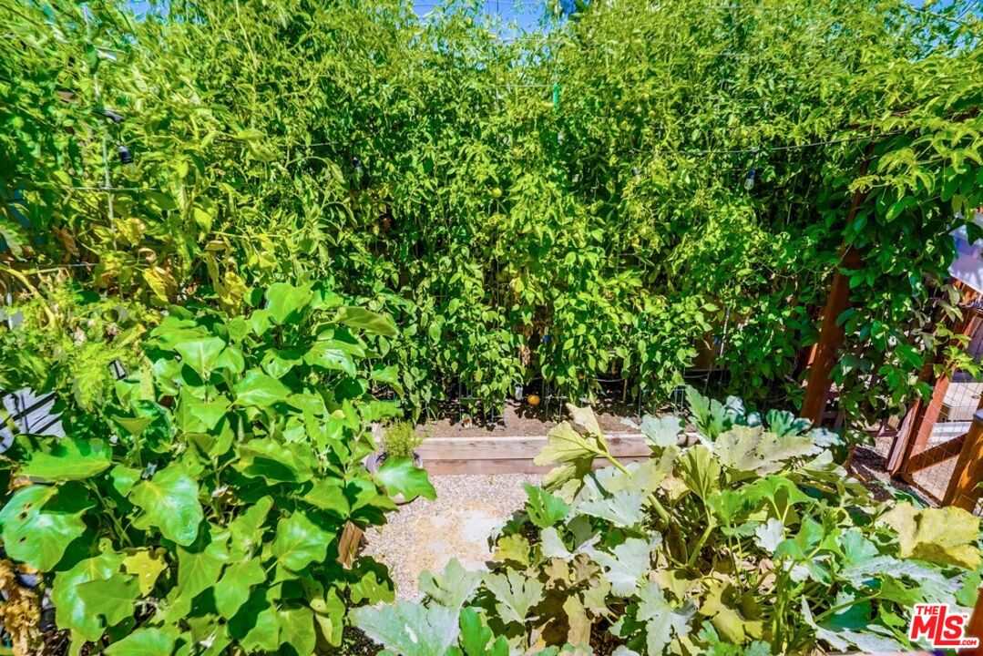 6116 Springvale Drive Los Angeles, CA 90042 - Photo 28 of 33 a backyard of a house with lots of green space