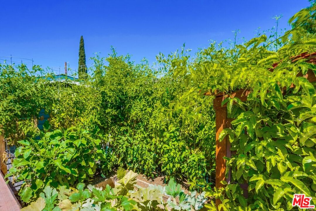 6116 Springvale Drive Los Angeles, CA 90042 - Photo 29 of 33 a view of a yard with a tree