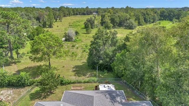 a view of a yard with a tree