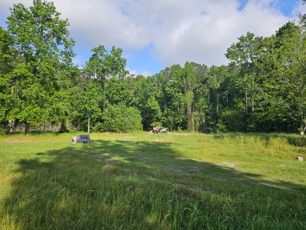 a view of a grassy area