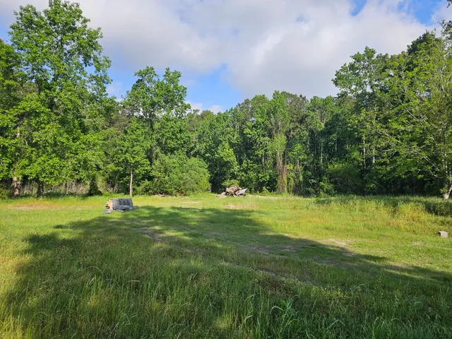 a view of a grassy area