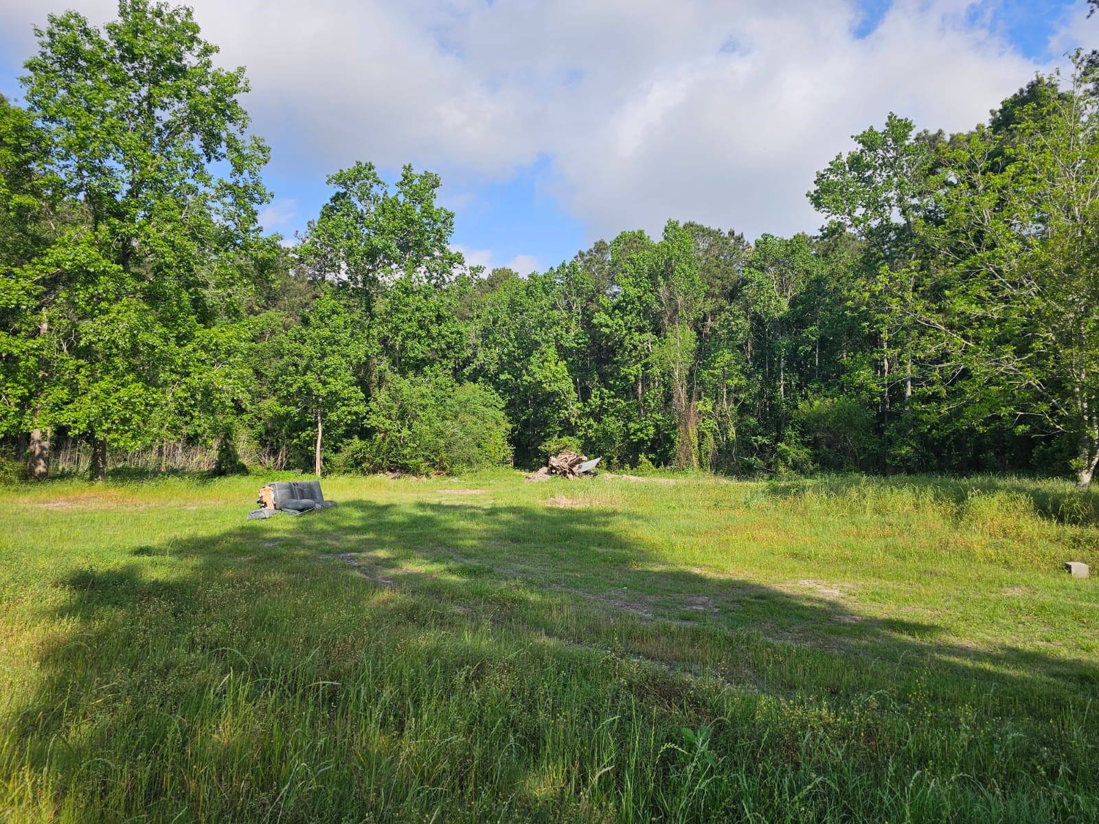 a view of a grassy area
