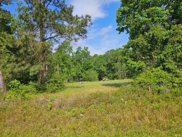 a view of outdoor space and yard