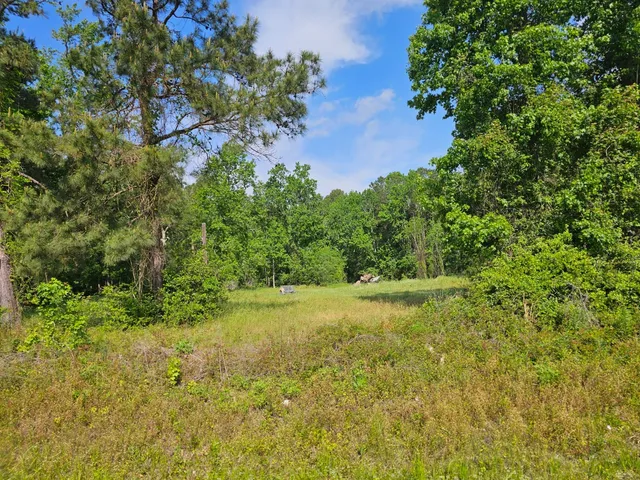 a view of outdoor space and yard