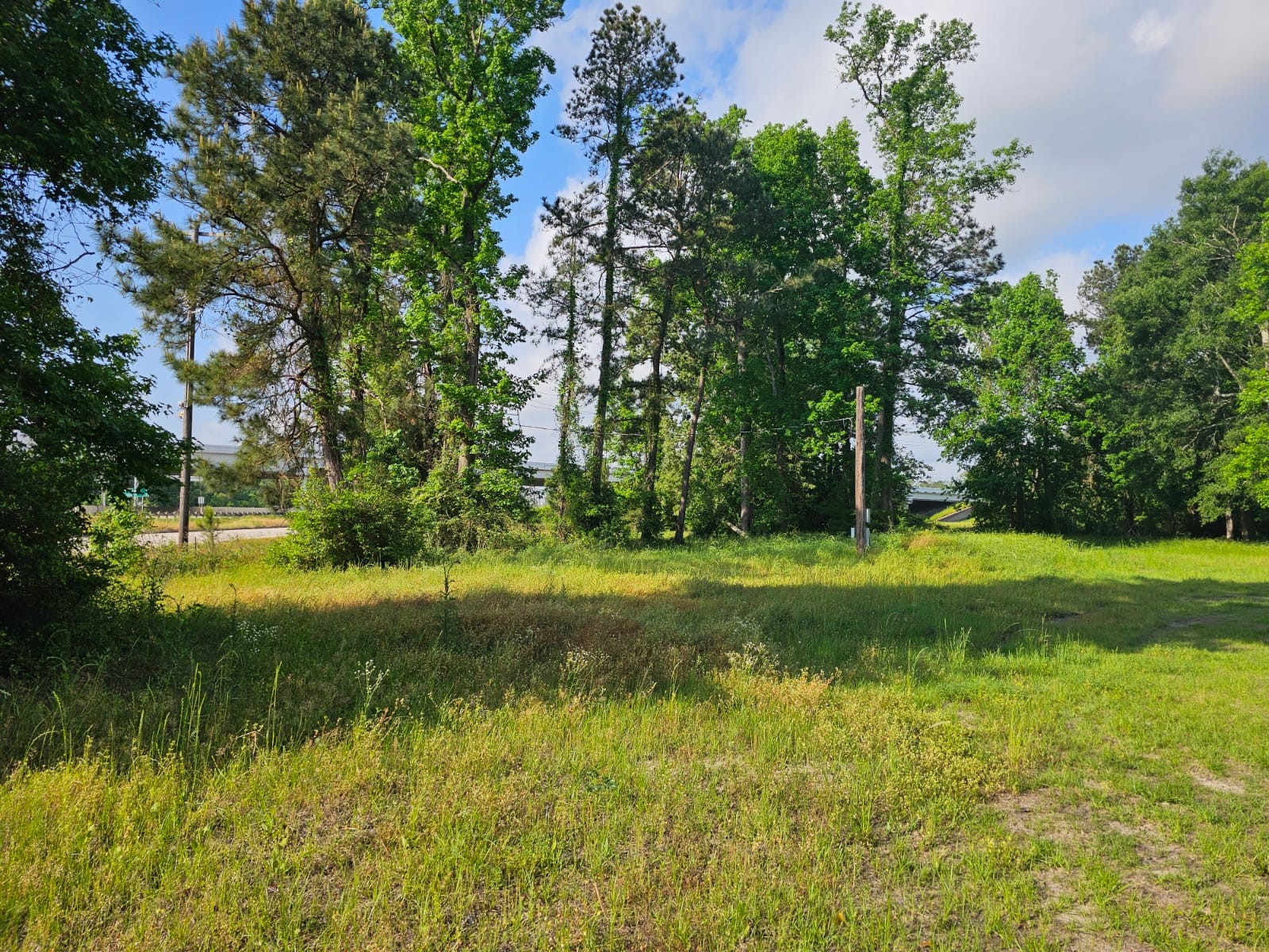 1190 Highway 59 Garrison, TX 75946 - Photo 2 of 12 a view of yard with swimming pool and green space
