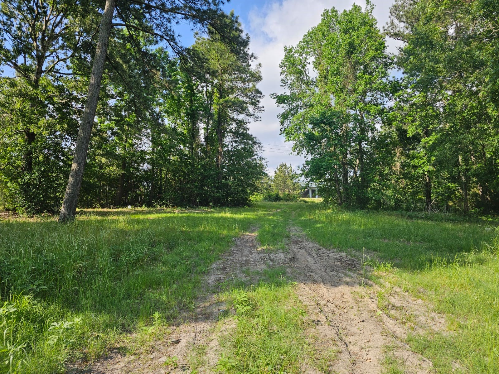 1190 Highway 59 Garrison, TX 75946 - Photo 6 of 12 a view of a park