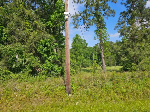 a view of an outdoor space and trees