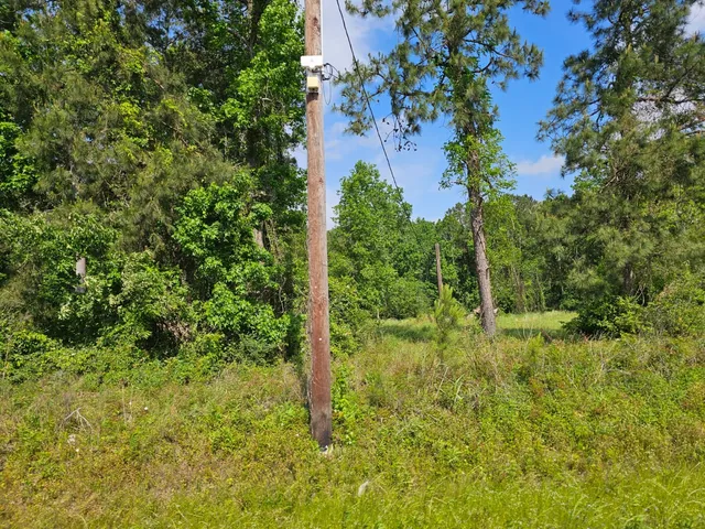 a view of an outdoor space and trees