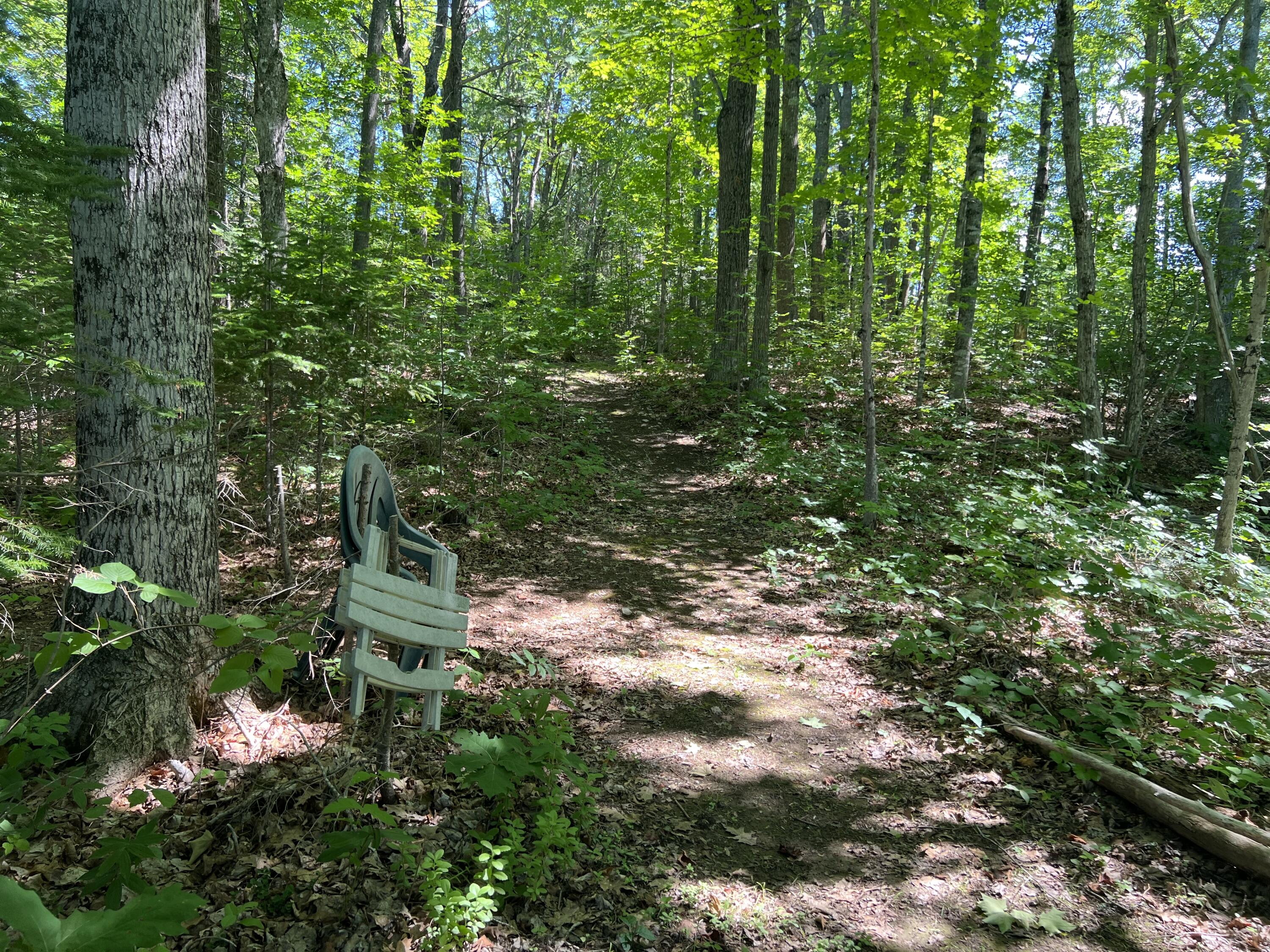 244 Lancaster Brook Road Glenburn, ME 04401 - Photo 62 of 80 Trail 7