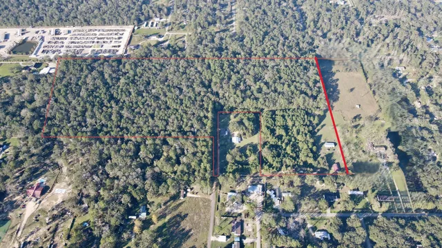 a picture of flowers