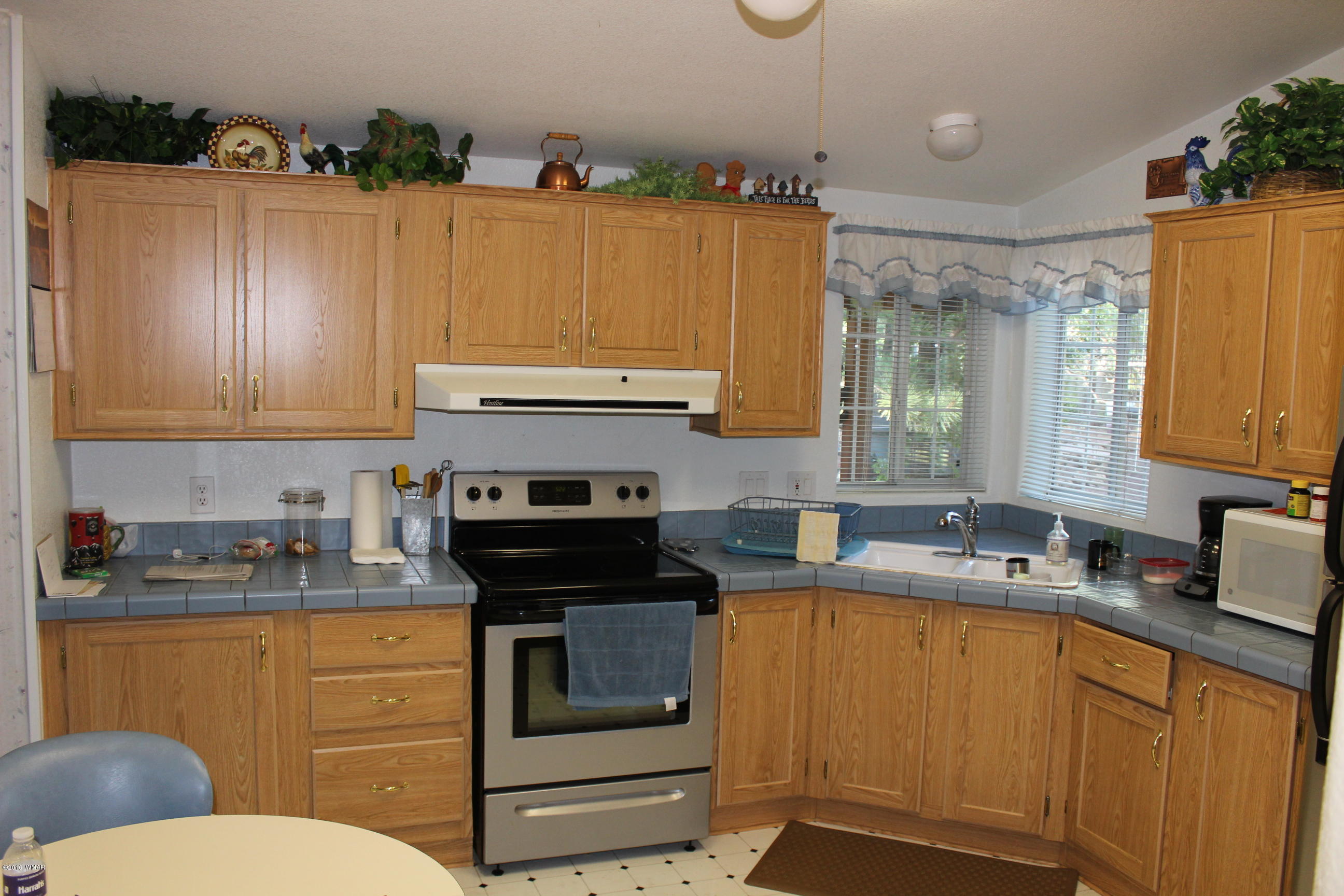 4134 West Blue Ridge Loop Pinetop, AZ 85935 - Photo 19 of 22