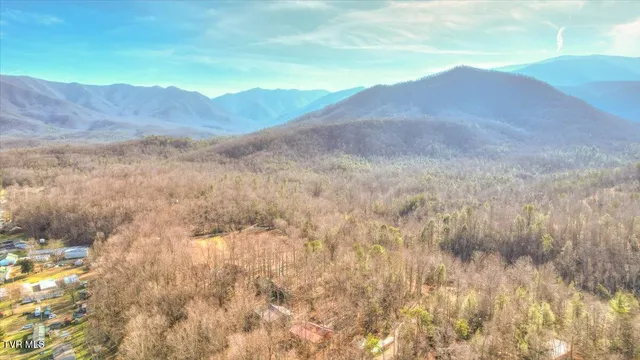 $329,900 | 191 Tn-32 Highway, Cosby, TN 37722