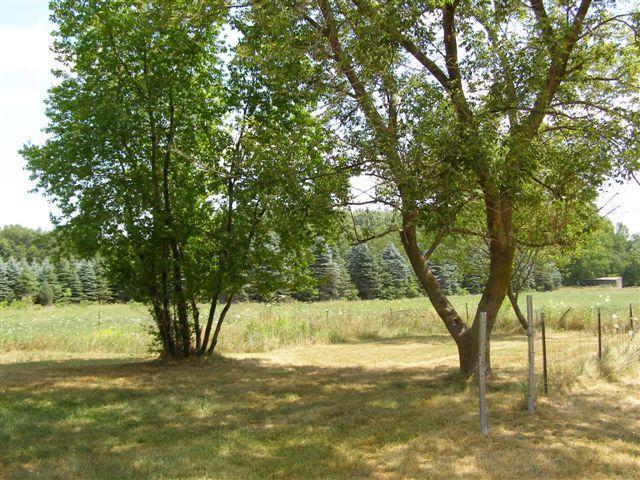 4169 West S County Line Road Northeast Fenwick, MI 48834 - Photo 11 of 11 Additional Photo
