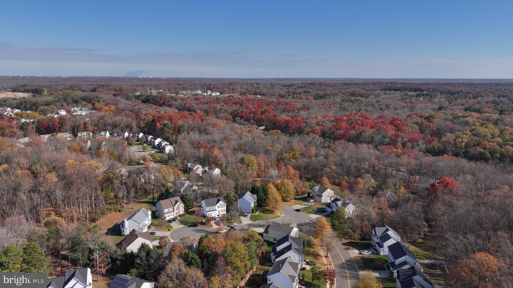 11206 Poplar Grove Court Laurel, MD 20708 - Photo 59 of 67