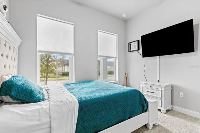 a bedroom with a bed tv and window