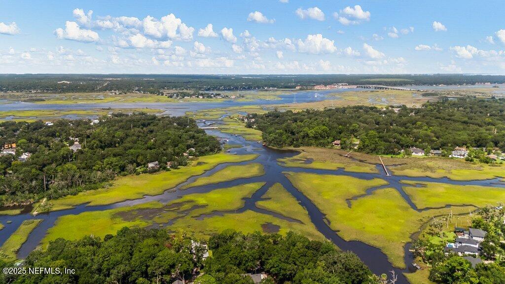 2010 Shadow Lane Neptune Beach, FL 32266 - Photo 53 of 61 Aerial