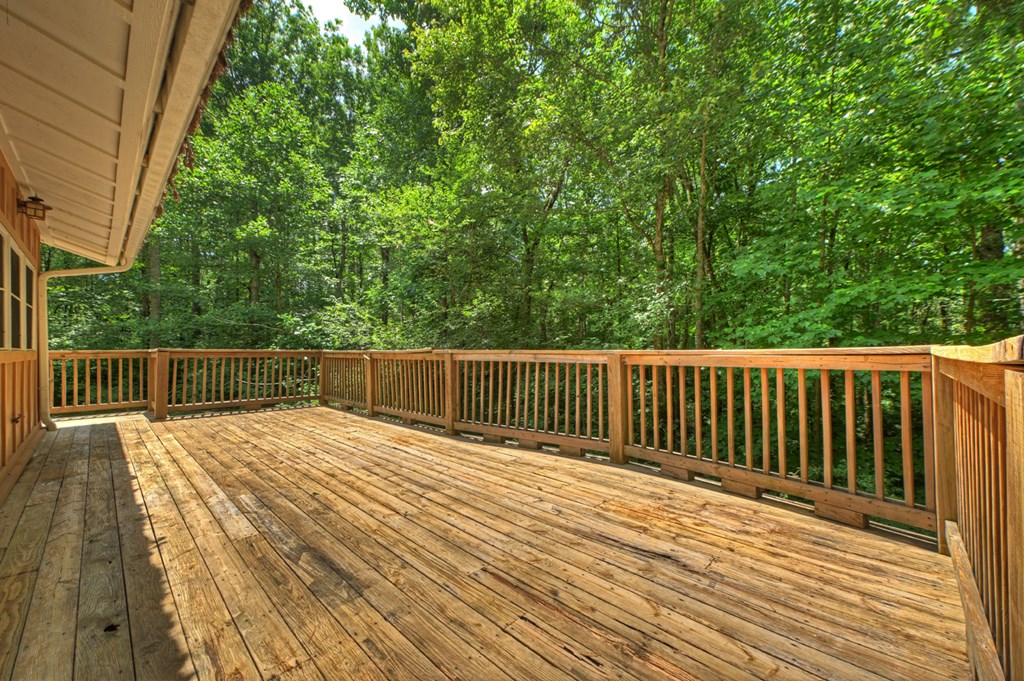 600 Conasauga Road Ellijay, GA 30540 - Photo 45 of 68 Gallery Image 45