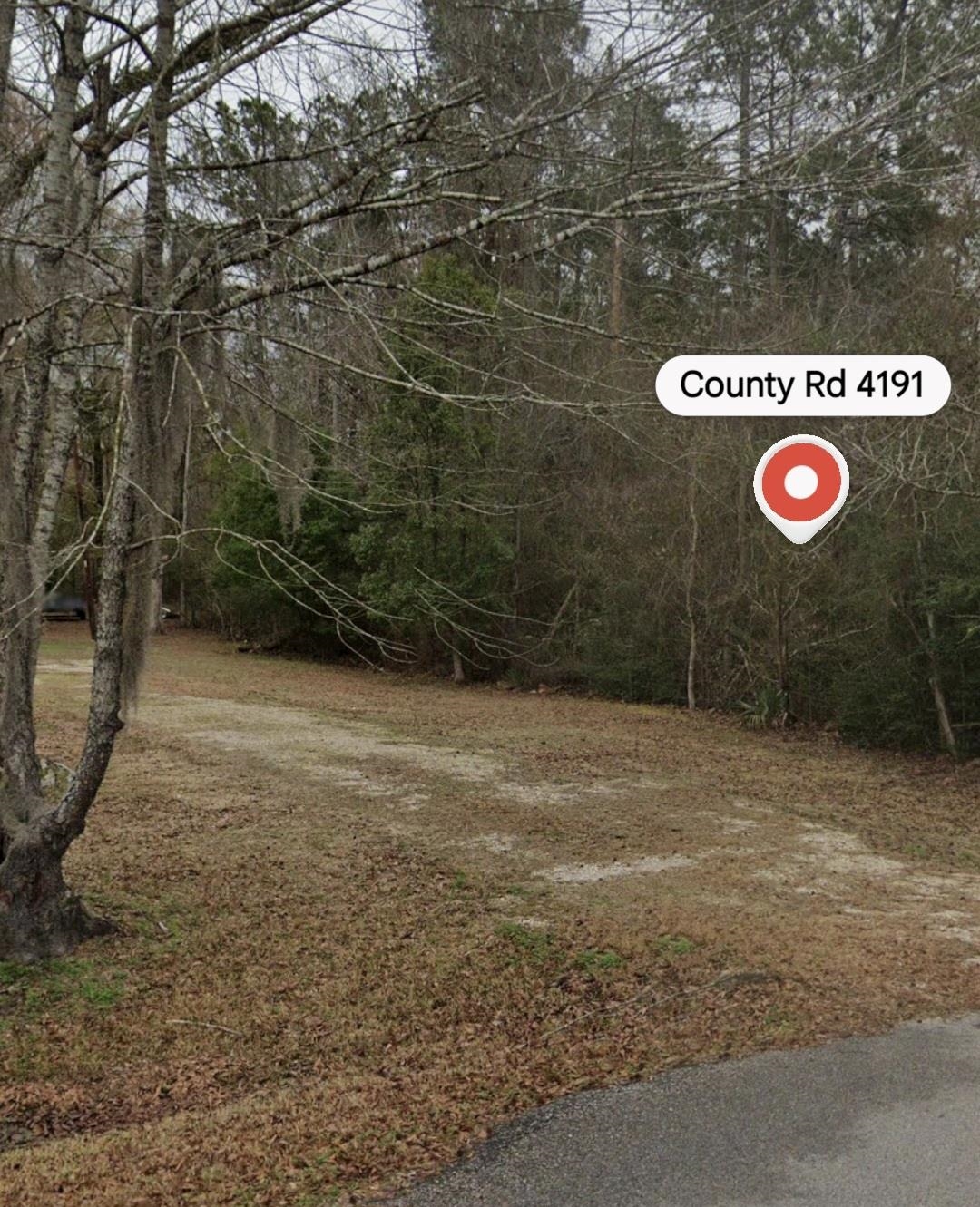 4191 County Road Orange, TX 77630 - Photo 2 of 4