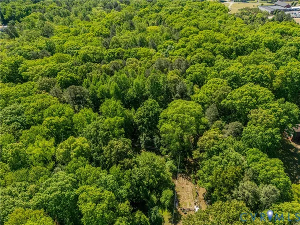 a view of a lush green forest with trees and some houses