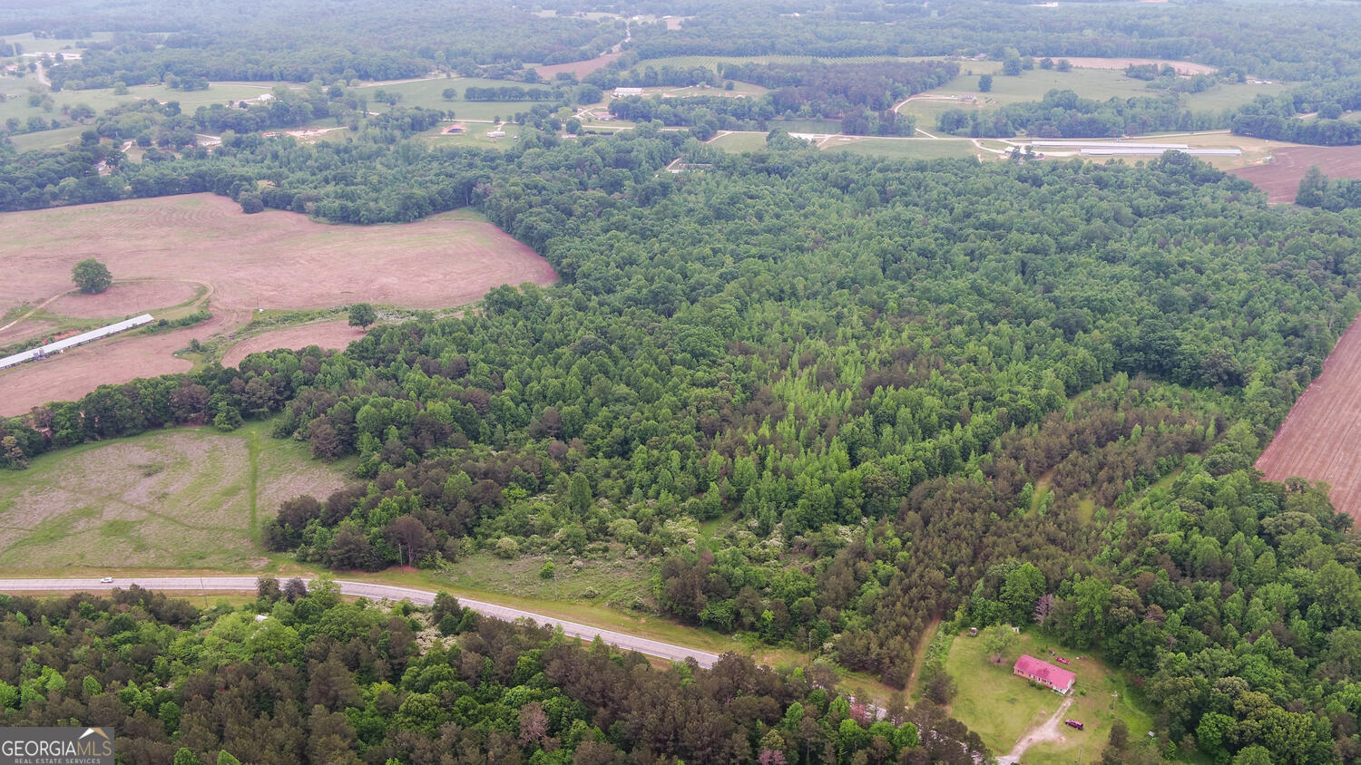 6343 Highway 198 Carnesville, GA 30521 - Photo 11 of 21