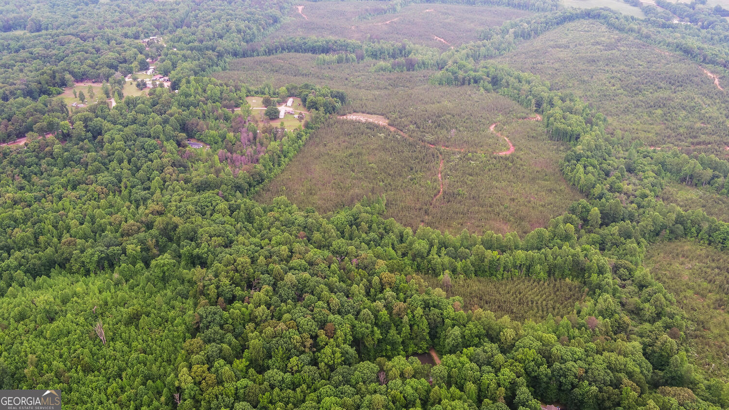 6343 Highway 198 Carnesville, GA 30521 - Photo 14 of 21