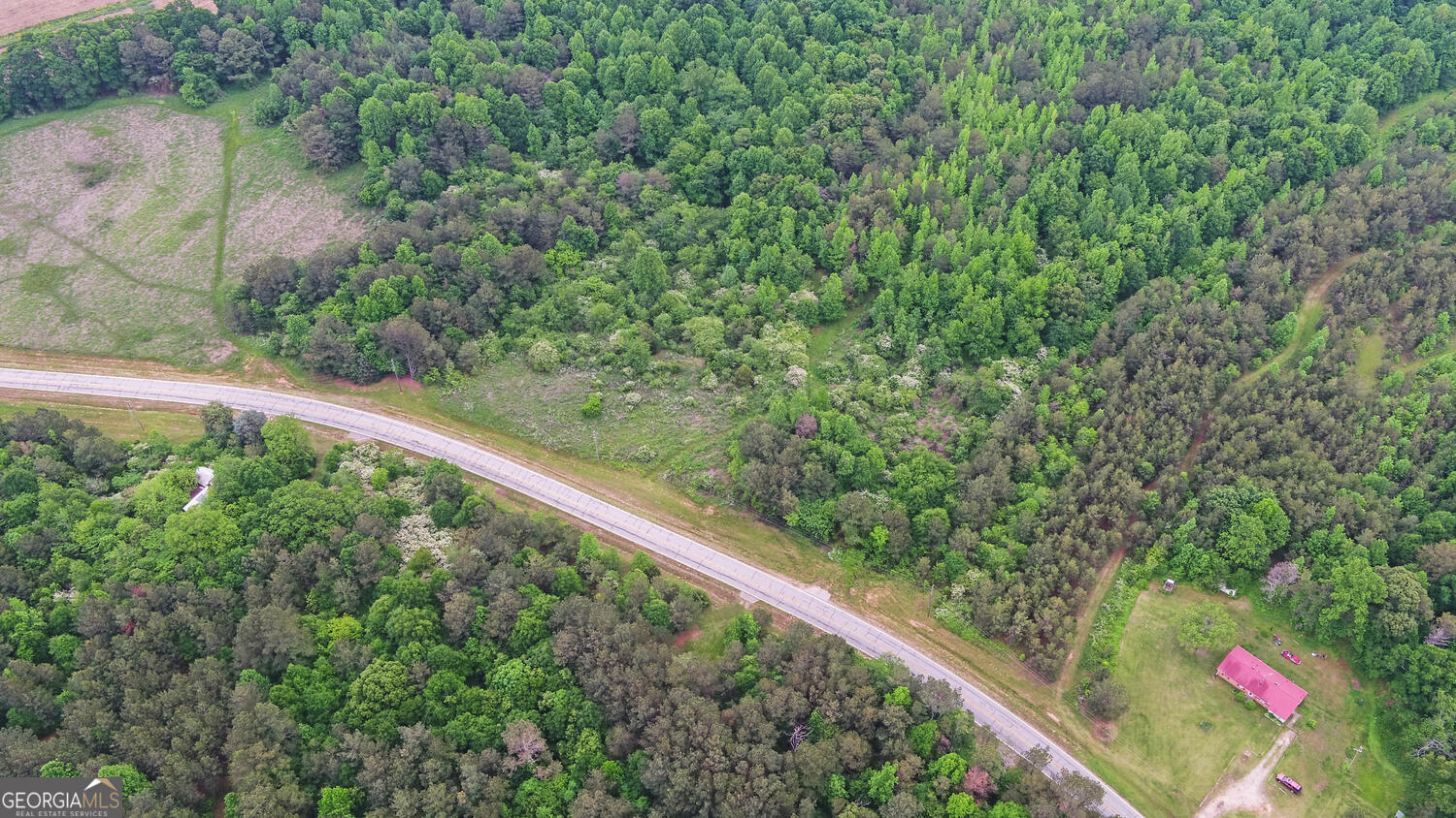 6343 Highway 198 Carnesville, GA 30521 - Photo 16 of 21