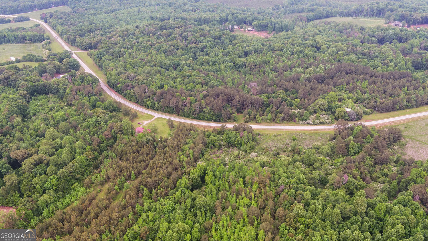 6343 Highway 198 Carnesville, GA 30521 - Photo 21 of 21