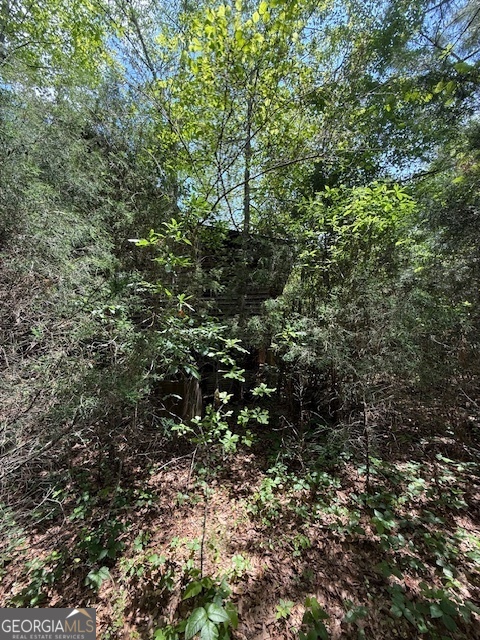 6343 Highway 198 Carnesville, GA 30521 - Photo 3 of 21