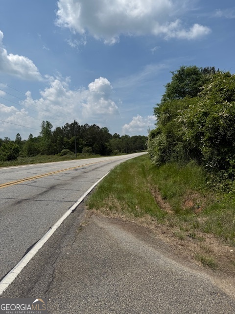 6343 Highway 198 Carnesville, GA 30521 - Photo 5 of 21