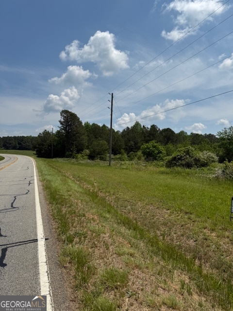 6343 Highway 198 Carnesville, GA 30521 - Photo 6 of 21