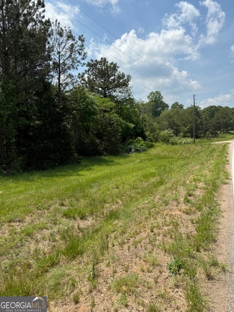 6343 Highway 198 Carnesville, GA 30521 - Photo 7 of 21