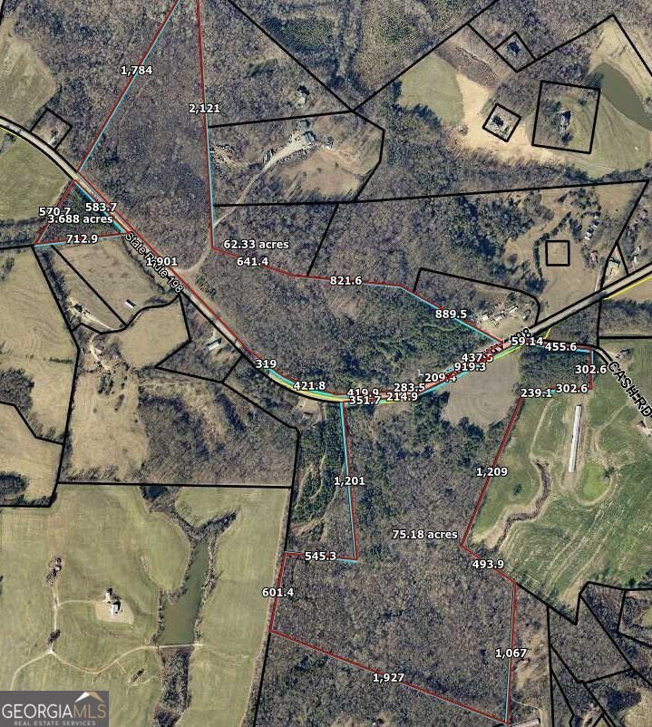 6343 Highway 198 Carnesville, GA 30521 - Photo 8 of 21