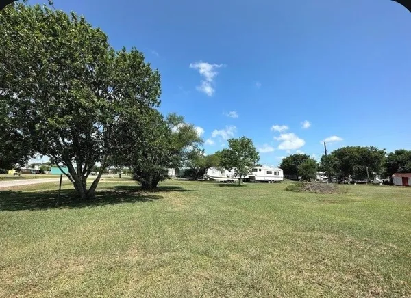 a view of yard with green space and trees