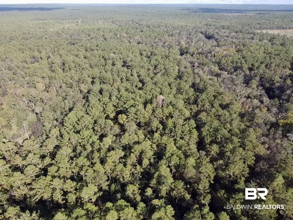 0 Country Road Vinegar Bend, AL 36584 - Photo 24 of 46
