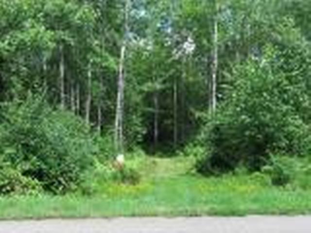 Lot 18 Pfeifer Road Tomahawk, WI 54487 - Photo 4 of 8 Gallery Image 4