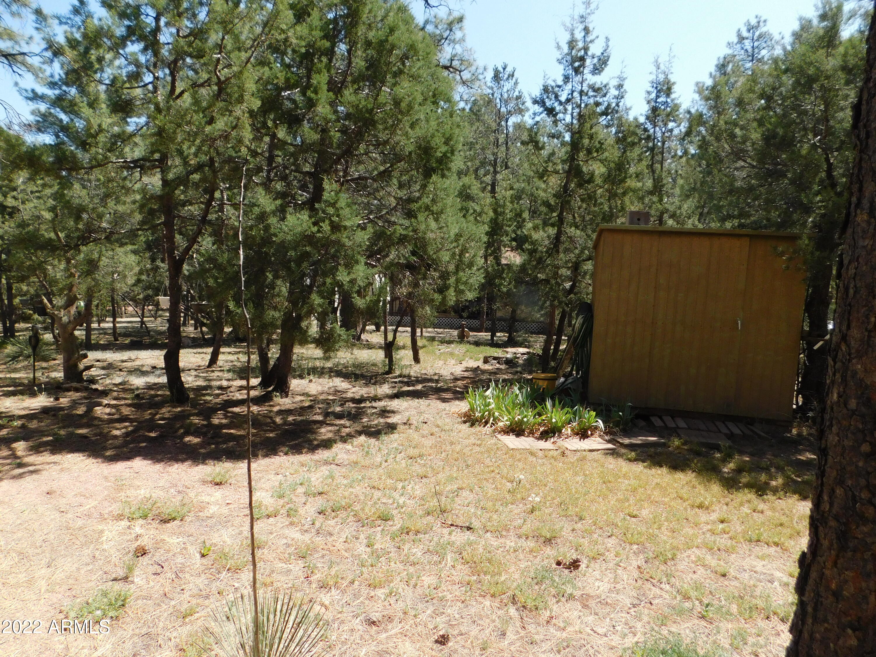2937 Markham Road Overgaard, AZ 85933 - Photo 26 of 32 2937 Markham Road