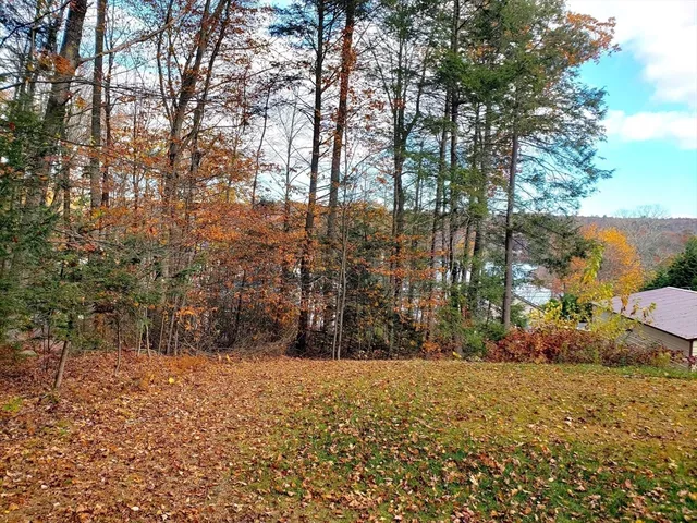 a view of outdoor space and yard