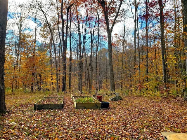 a view of yard with trees