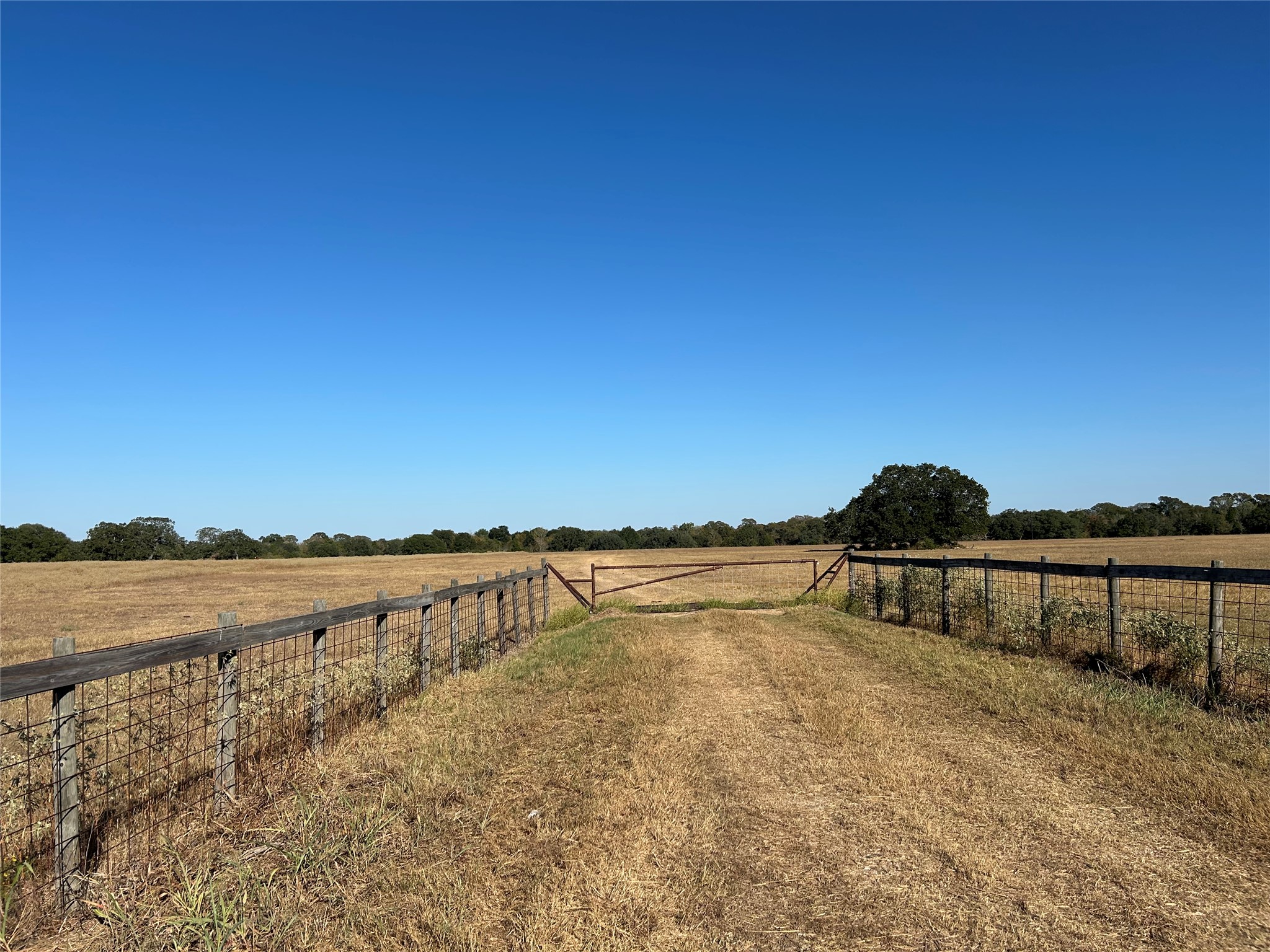 127 Rd Ledbetter Tx 78946 Road Ledbetter, TX 78946 - Photo 2 of 11 a view of a terrace with lake view