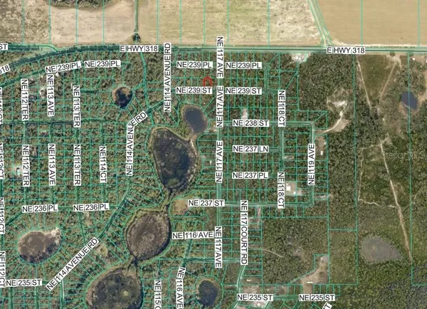 $12,000 | Northeast 239th Street, Fort McCoy, FL 32134