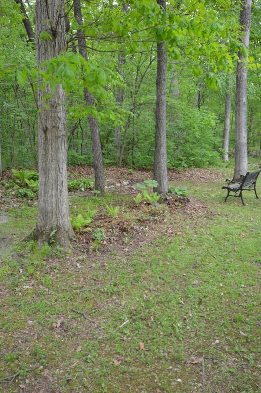 12261 West Tippecanoe Ranch Road Delphi, IN 46923 - Photo 21 of 27 Gallery Image 21