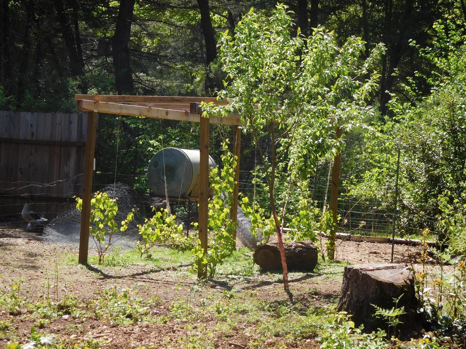Additional Photo