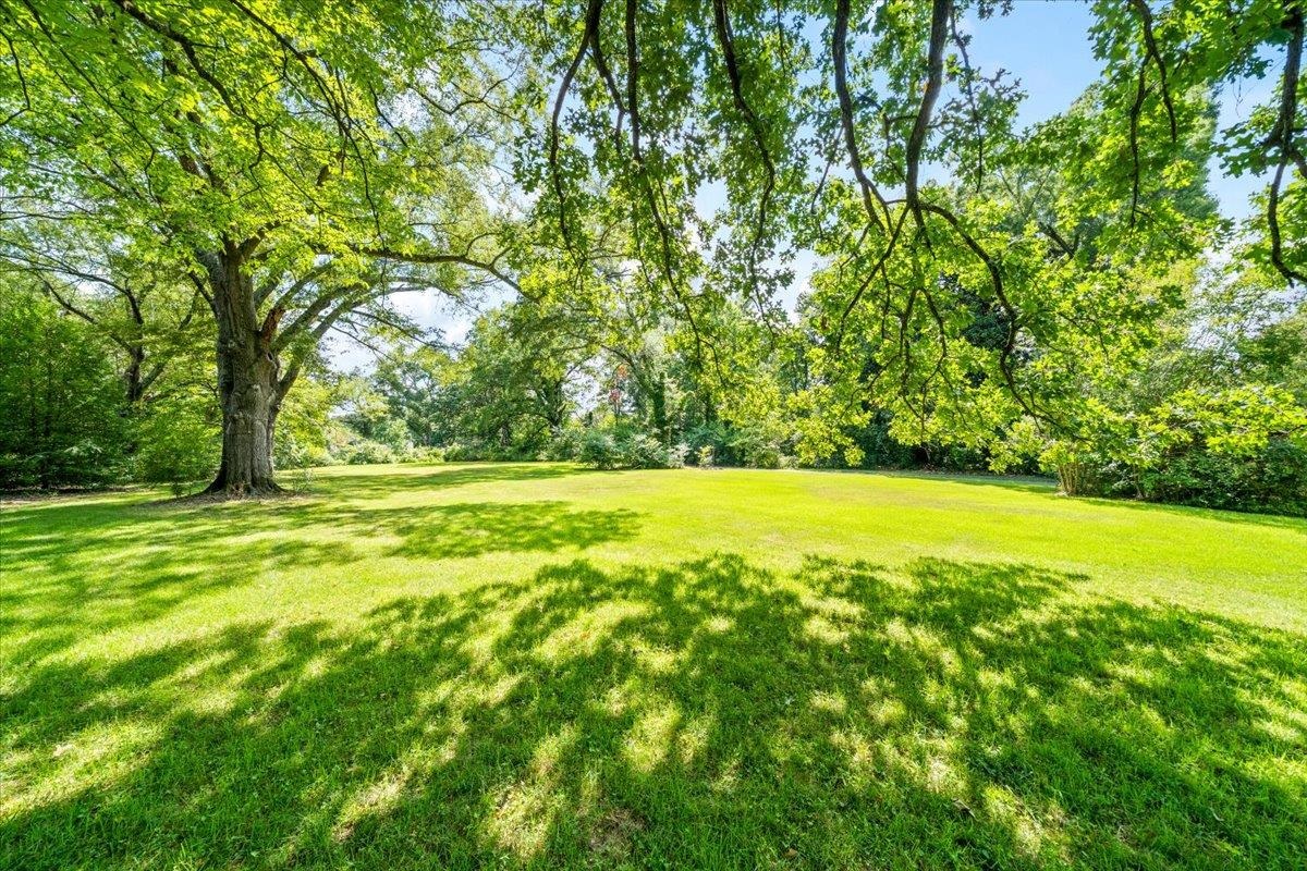 4143 Gwynne Road Memphis, TN 38117 - Photo 1 of 29 View of green lawn with view of scattered trees