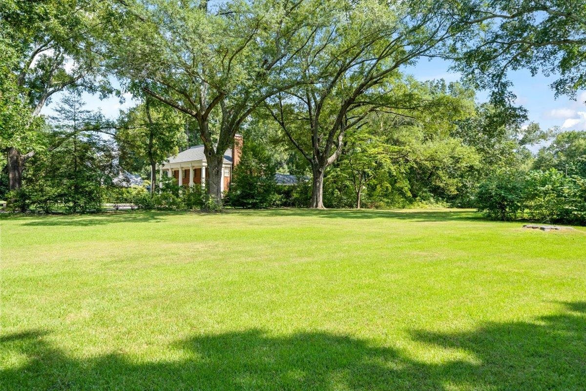 4143 Gwynne Road Memphis, TN 38117 - Photo 11 of 29 View of green lawn featuring view of scattered trees