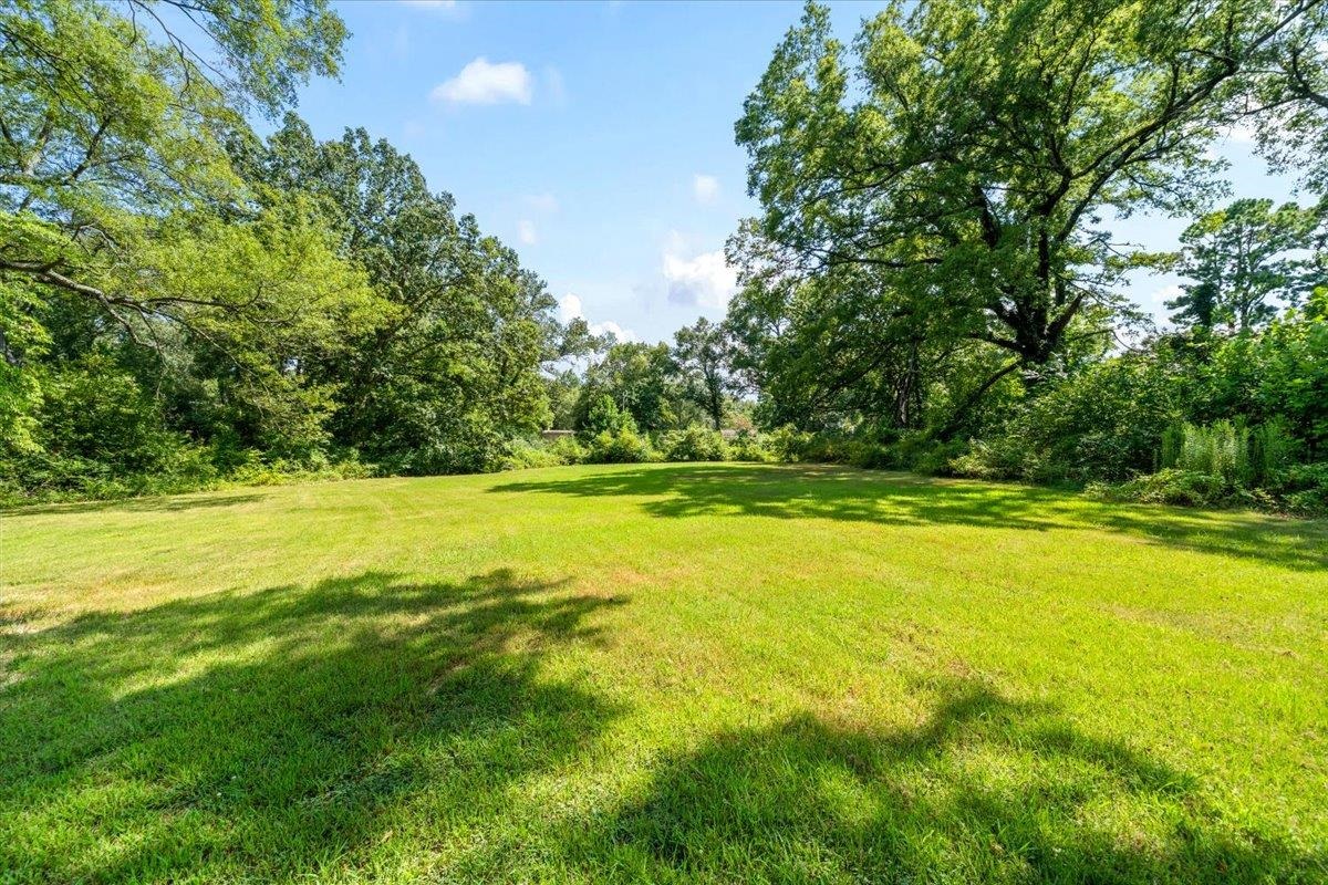 4143 Gwynne Road Memphis, TN 38117 - Photo 15 of 29 View of green lawn