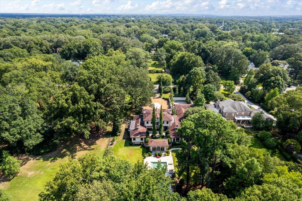 4143 Gwynne Road Memphis, TN 38117 - Photo 20 of 29 Bird's eye view of a forest