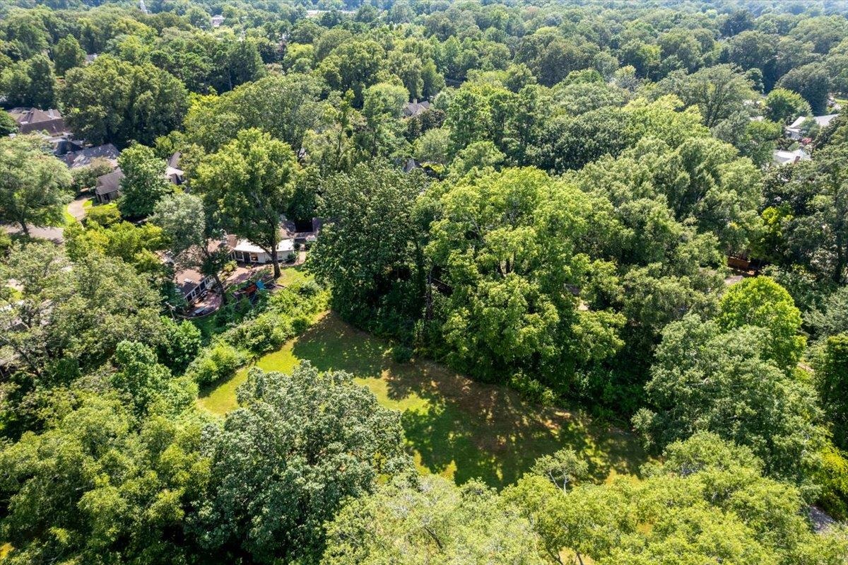 4143 Gwynne Road Memphis, TN 38117 - Photo 24 of 29 Drone / aerial view of a forest
